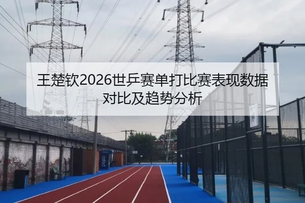 王楚钦2026世乒赛单打比赛表现数据对比及趋势分析